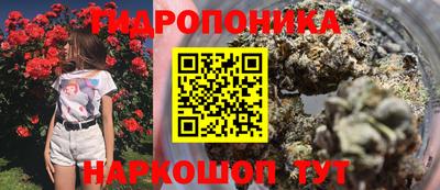 спайс Обь