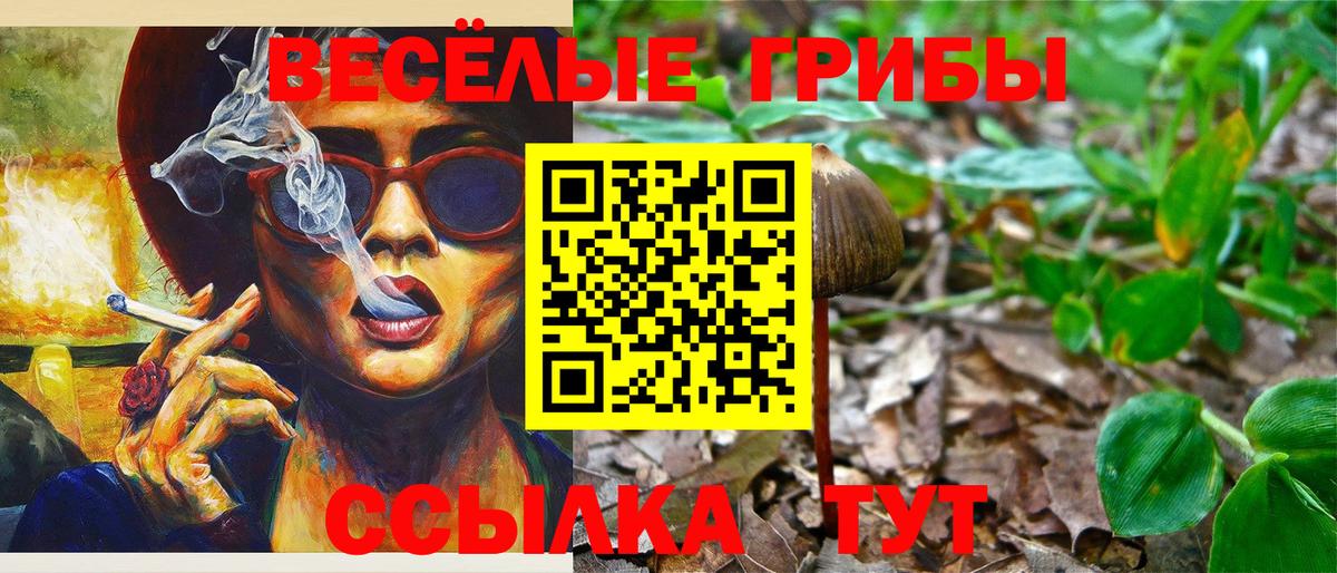 Галлюциногенные грибы Psilocybine cubensis  Вход с VPN  Пушкино  как найти закладки  Галлюциногенные грибы Psilocybine cubensis 